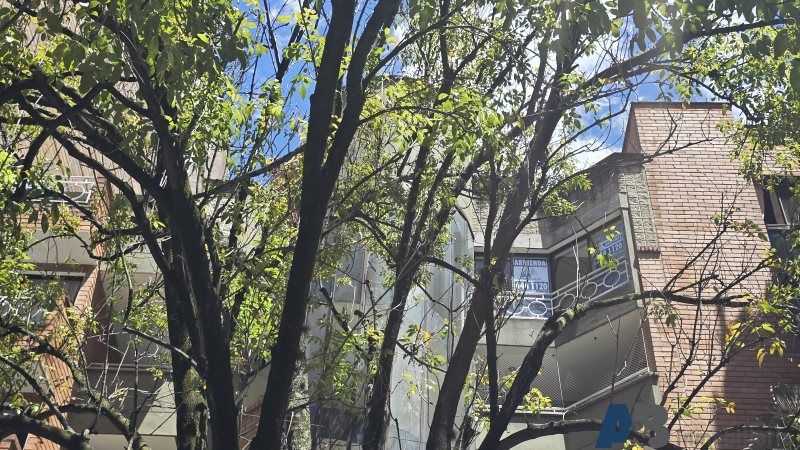 Apartamento en arriendo Antioquia Medellín Laureles 280 m2 Habitaciones 4 Baños 4 Garajes 4 Precio $9000000