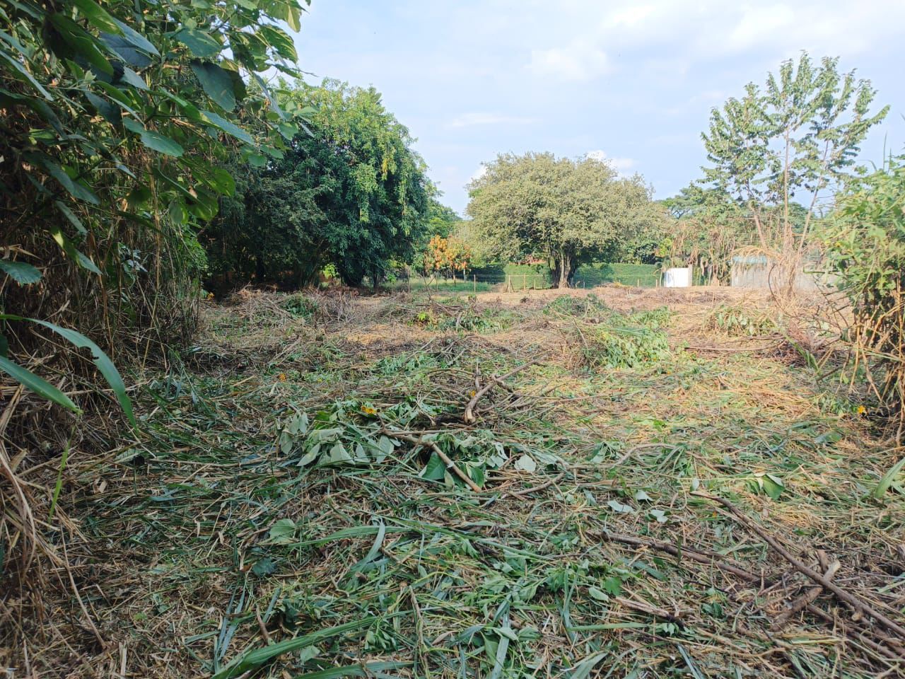 Lote en venta Valle Del Cauca Cali Parcelaciones Pance 0 m2 Habitaciones 0 Baños 0 Garajes 0 Precio $2400000000