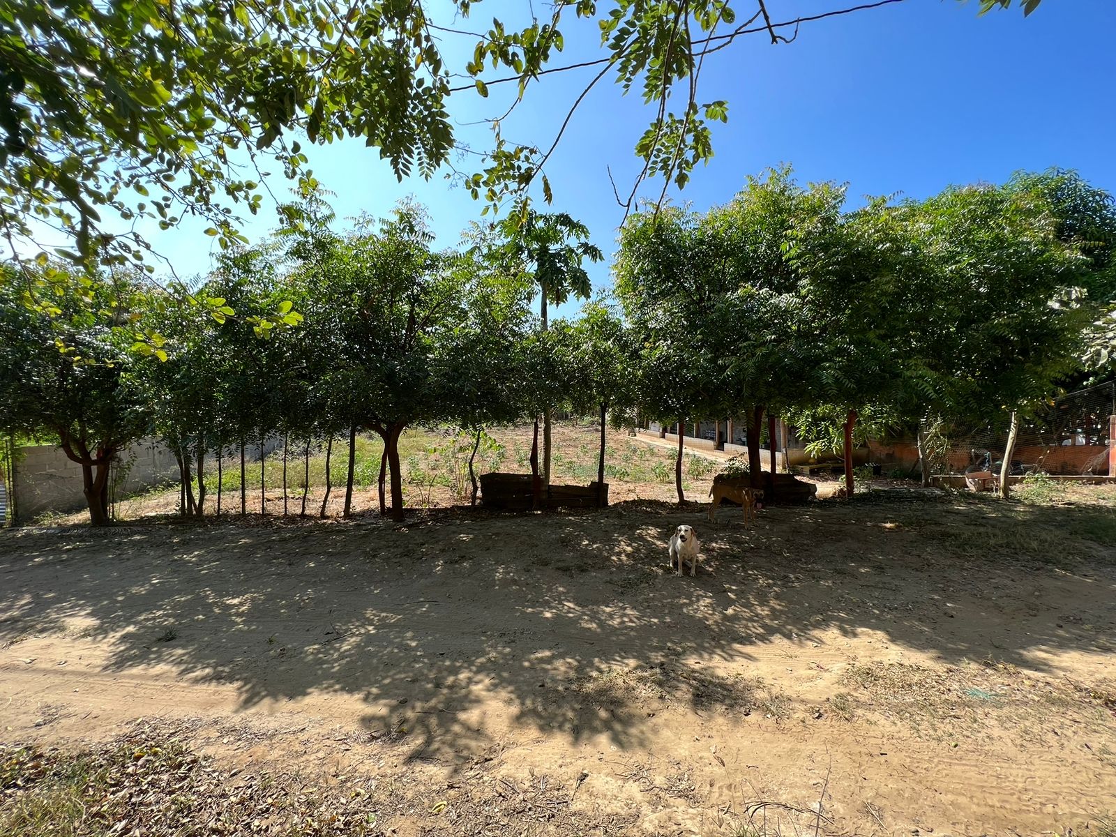 Lote en venta Atlántico Tubará Buenos Aires 23000 m2 Habitaciones 0 Baños 0 Garajes 0 Precio $149500000