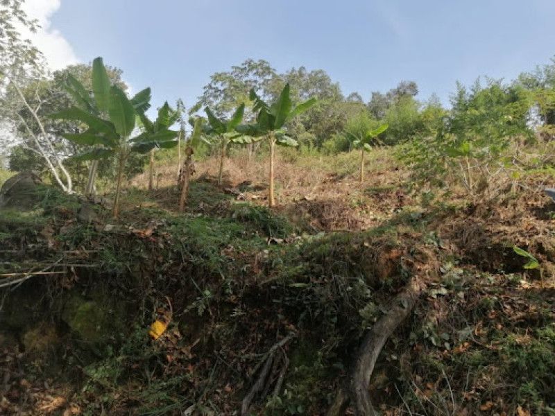 Lote en venta Cundinamarca Silvania Cn Granjas De Sauzalito 2551 m2 Habitaciones 0 Baños 0 Garajes 0 Precio $120000000