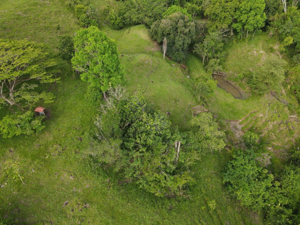 Lote en venta Antioquia La Pintada La Pintada 576000 m2 Habitaciones 0 Baños 0 Garajes 0 Precio $7950000000