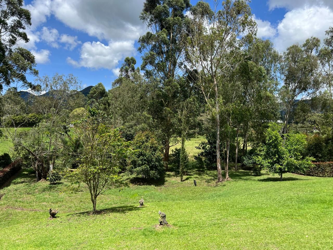 Lote en venta Antioquia La Ceja Centro 3372 m2 Habitaciones 0 Baños 0 Garajes 0 Precio $880000000