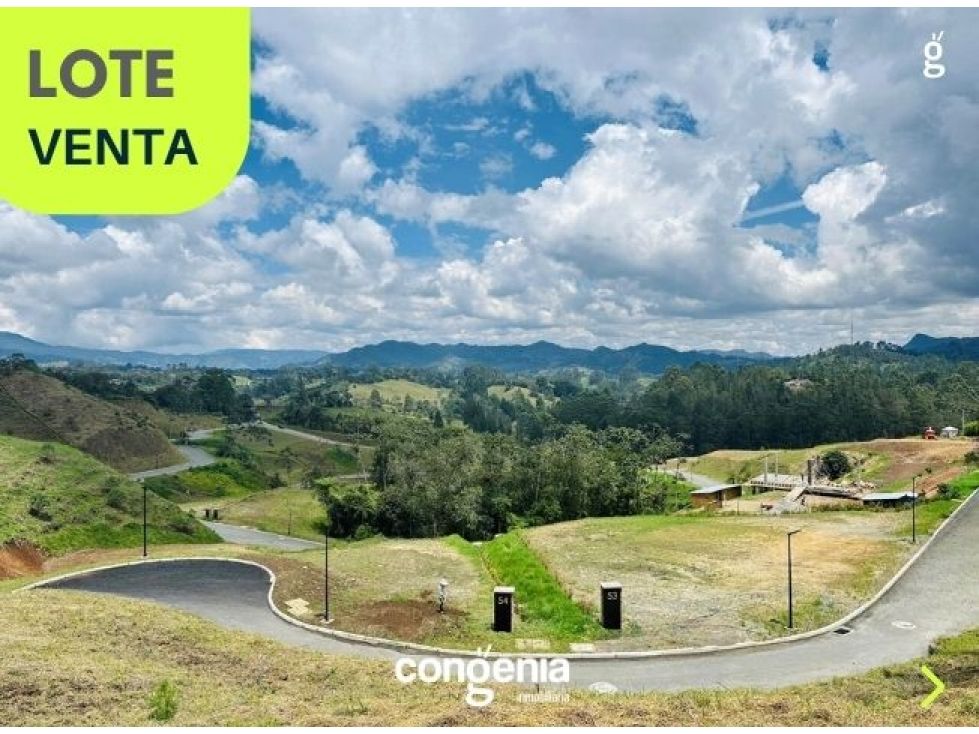 Lote en venta Antioquia El Retiro El Retiro 3879 m2 Habitaciones 0 Baños 0 Garajes 0 Precio $790000000