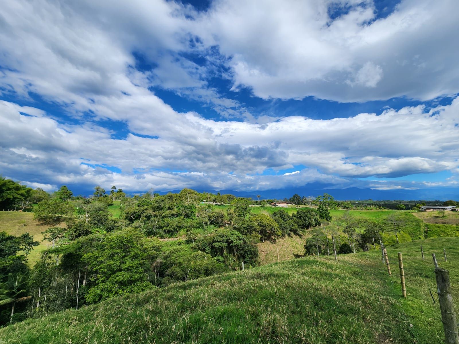 Lote en venta Quindío Filandia Filandia 51200 m2 Habitaciones 0 Baños 0 Garajes 0 Precio $1500000000