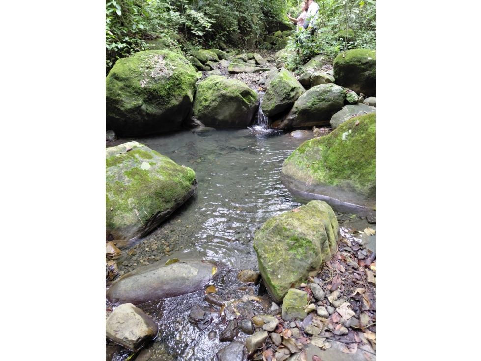 Finca en venta Cundinamarca La Mesa La Mesa 7516 m2 Habitaciones 4 Baños 3 Garajes 5 Precio $520000000