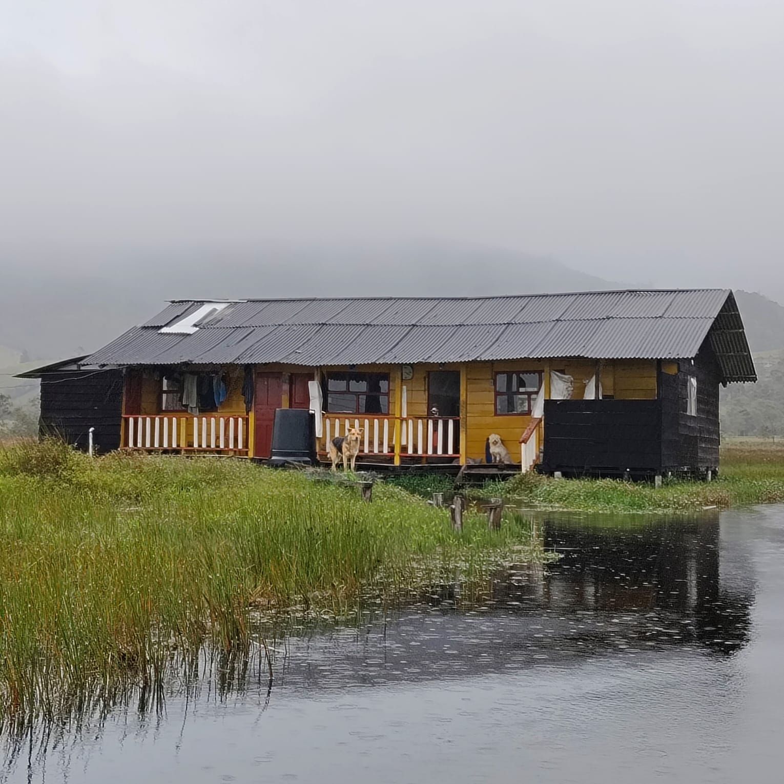 Finca en venta Nariño Pasto Co Las Margaritas Et Iv 20000 m2 Habitaciones 3 Baños 1 Garajes 0 Precio $550000000