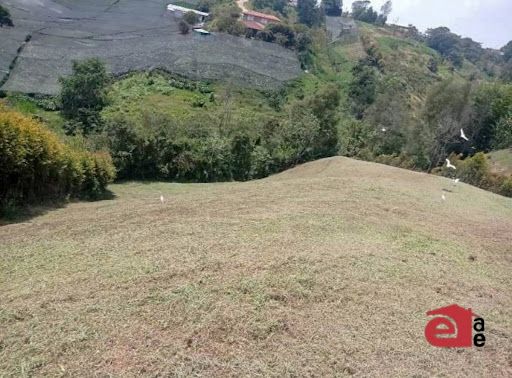 Lote en venta Antioquia Marinilla Marinilla 4400 m2 Habitaciones 0 Baños 0 Garajes 0 Precio $380000000