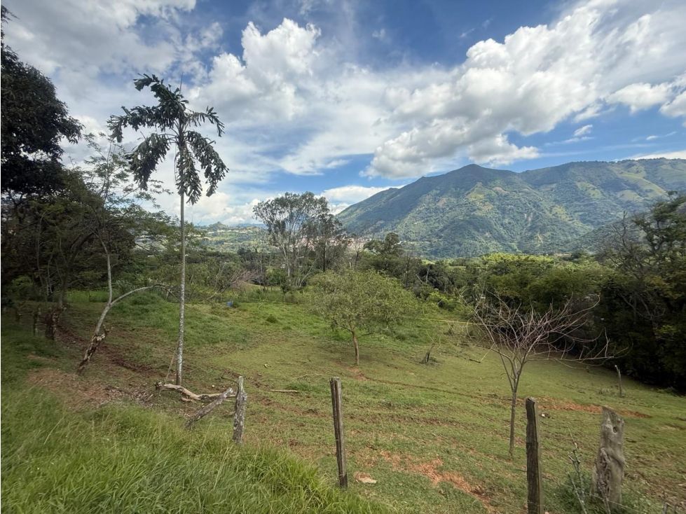 Lote en venta Antioquia Amagá Amagá 2626 m2 Habitaciones 0 Baños 0 Garajes 0 Precio $150000000