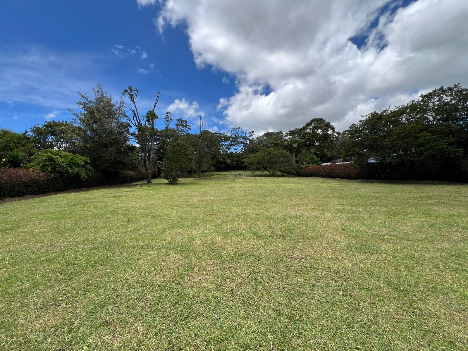 Lote en venta Antioquia Rionegro Ub Pietra Santa Et Iv 2456 m2 Habitaciones 0 Baños 0 Garajes 0 Precio $1250000000