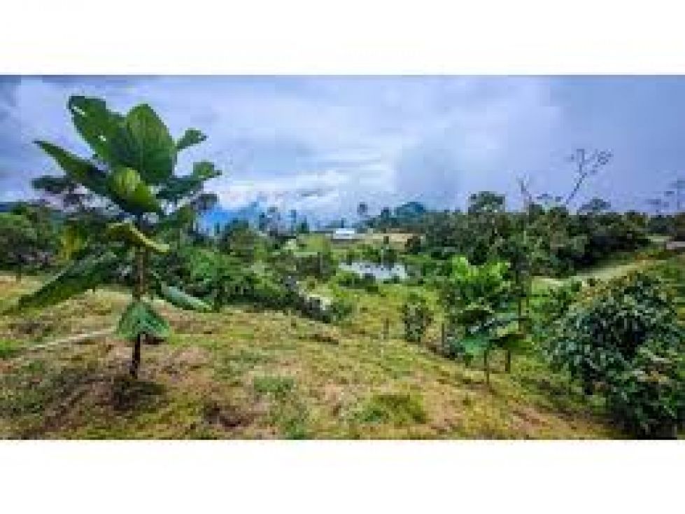 Lote en venta Antioquia Caldas Caldas 2734 m2 Habitaciones 0 Baños 0 Garajes 0 Precio $480000000