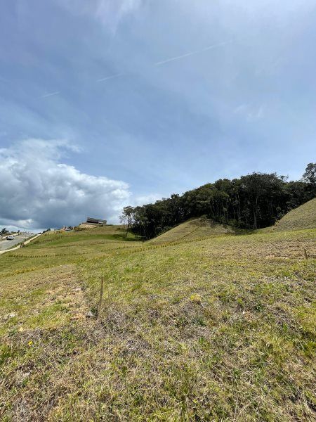 Lote en venta Antioquia Envigado Zona Centro 210 m2 Habitaciones 0 Baños 0 Garajes 0 Precio $954913600