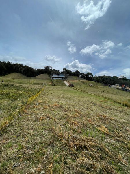 Lote en venta Antioquia Envigado Zona Centro 210 m2 Habitaciones 0 Baños 0 Garajes 0 Precio $945040000