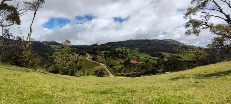 Lote en venta Cundinamarca La Calera La Calera 10088 m2 Habitaciones 0 Baños 0 Garajes 0 Precio $700000000