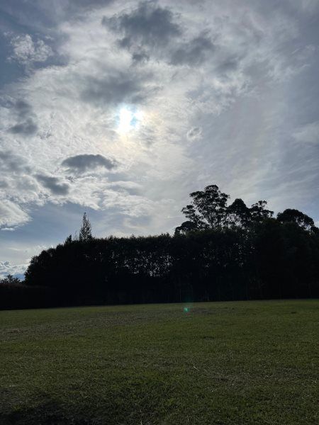 Lote en venta Antioquia Rionegro Centro 2072 m2 Habitaciones 0 Baños 0 Garajes 0 Precio $2000000000