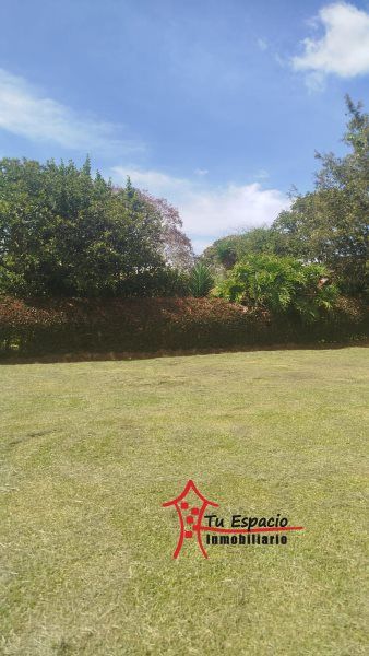 Lote en venta Antioquia Rionegro Rionegro 2456 m2 Habitaciones 0 Baños 0 Garajes 0 Precio $1200000000