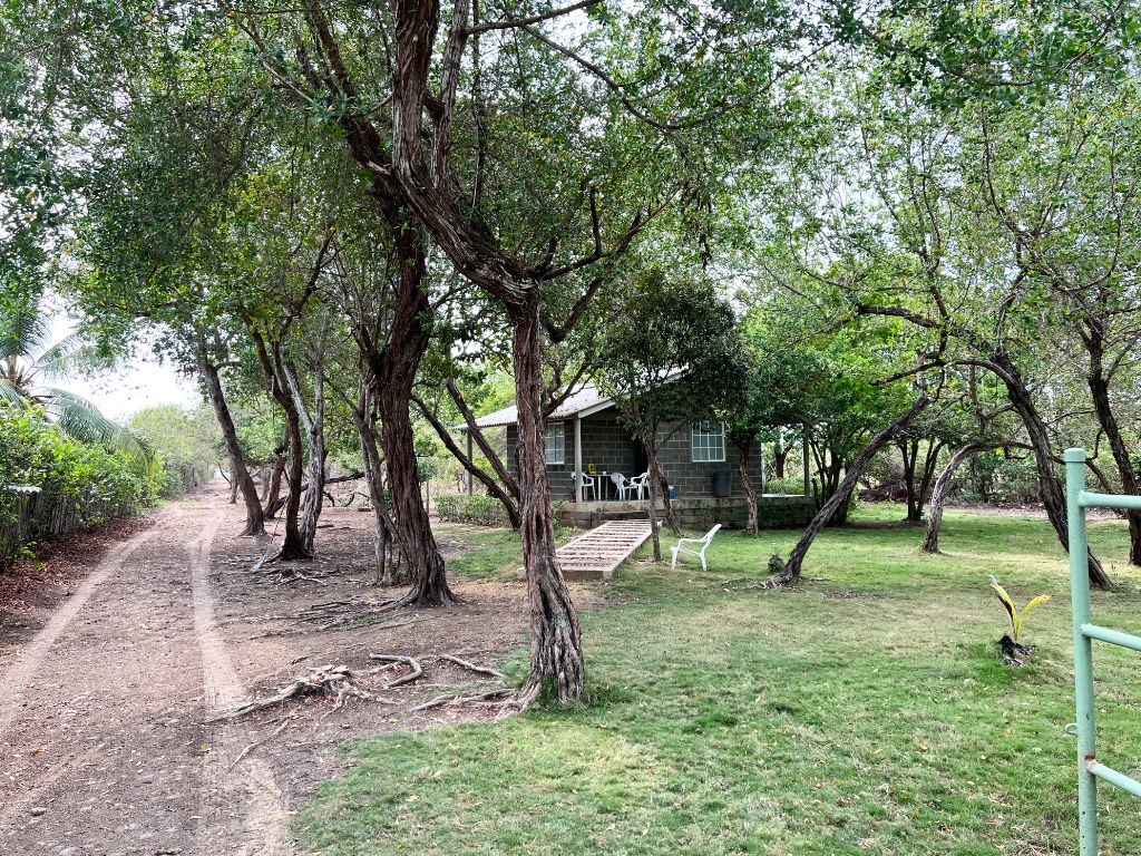 Lote Urbano en venta Bolívar Cartagena 13 De Junio 9999 m2 Habitaciones 0 Baños 0 Garajes 0 Precio $12000000000