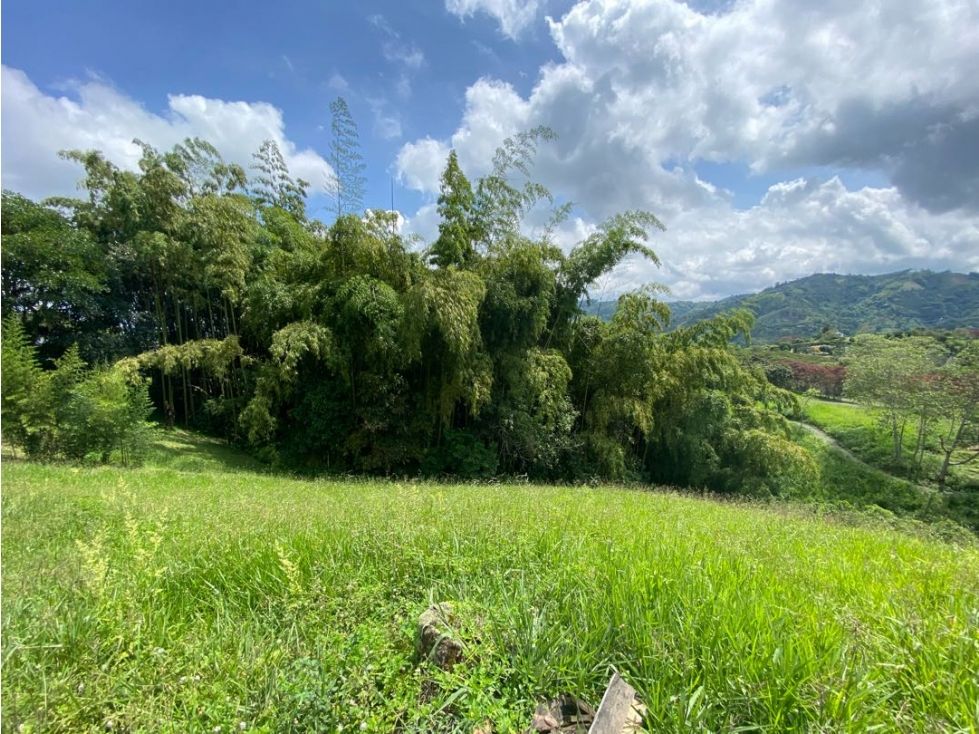 Lote en venta Risaralda Pereira Pereira 10300 m2 Habitaciones 0 Baños 0 Garajes 0 Precio $750000000