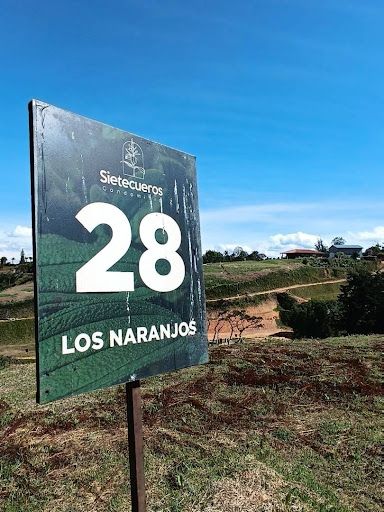 Lote en venta Antioquia Marinilla Marinilla 1960 m2 Habitaciones 0 Baños 0 Garajes 0 Precio $315000000