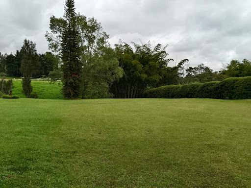 Lote en venta Antioquia Rionegro Rionegro 3352 m2 Habitaciones 0 Baños 0 Garajes 0 Precio $1200000000