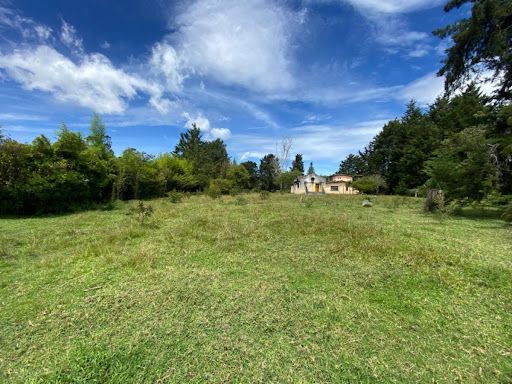 Lote en venta Antioquia Rionegro Rionegro 7900 m2 Habitaciones 0 Baños 0 Garajes 4 Precio $4000000000