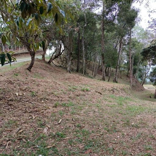 Lote en venta Antioquia El Retiro El Retiro 13100 m2 Habitaciones 0 Baños 0 Garajes 0 Precio $1500000000