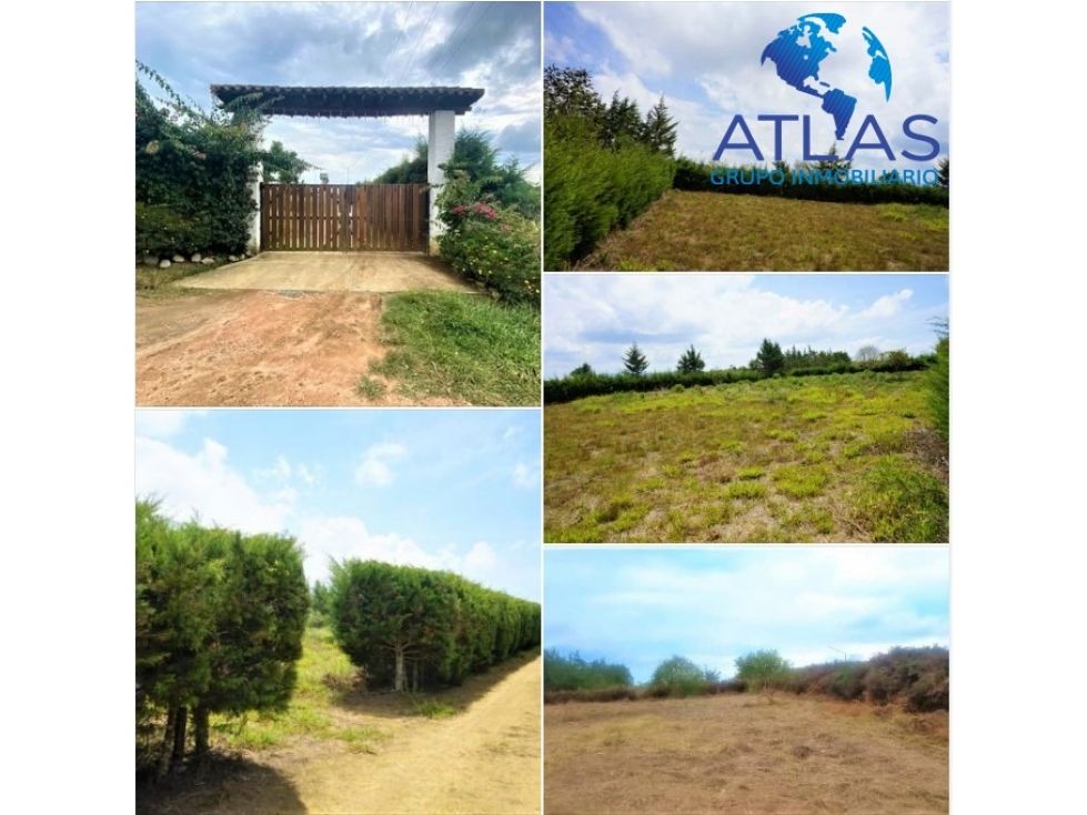 Lote en venta Santander Los Santos Los Santos 2310 m2 Habitaciones 0 Baños 1 Garajes 1 Precio $240000000