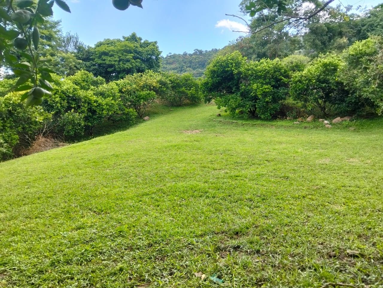 Lote en venta Cundinamarca La Mesa La Mesa 1 m2 Habitaciones 0 Baños 0 Garajes 0 Precio $210000000