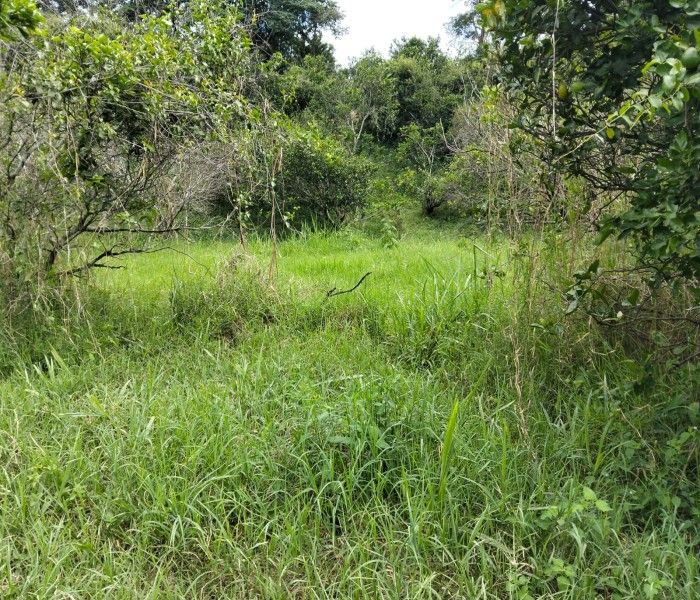 Lote en venta Cundinamarca La Mesa La Mesa 1 m2 Habitaciones 0 Baños 0 Garajes 0 Precio $210000000