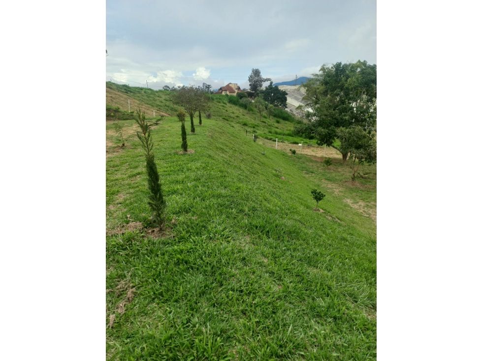 Lote en venta Antioquia El Carmen De Viboral El Carmen De Viboral 1500 m2 Habitaciones 0 Baños 0 Garajes 0 Precio $280000000