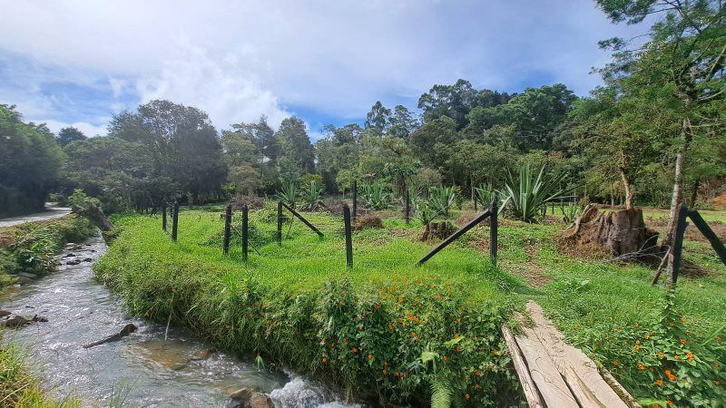 Lote en venta Antioquia Guarne Guarne 4500 m2 Habitaciones 0 Baños 0 Garajes 0 Precio $675000000