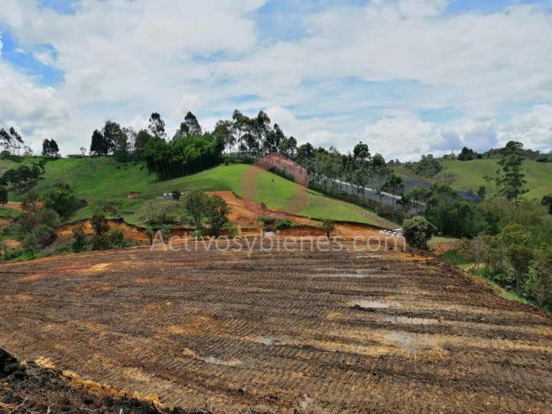 Lote en venta Antioquia Rionegro Centro 2541 m2 Habitaciones 0 Baños 0 Garajes 0 Precio $510000000