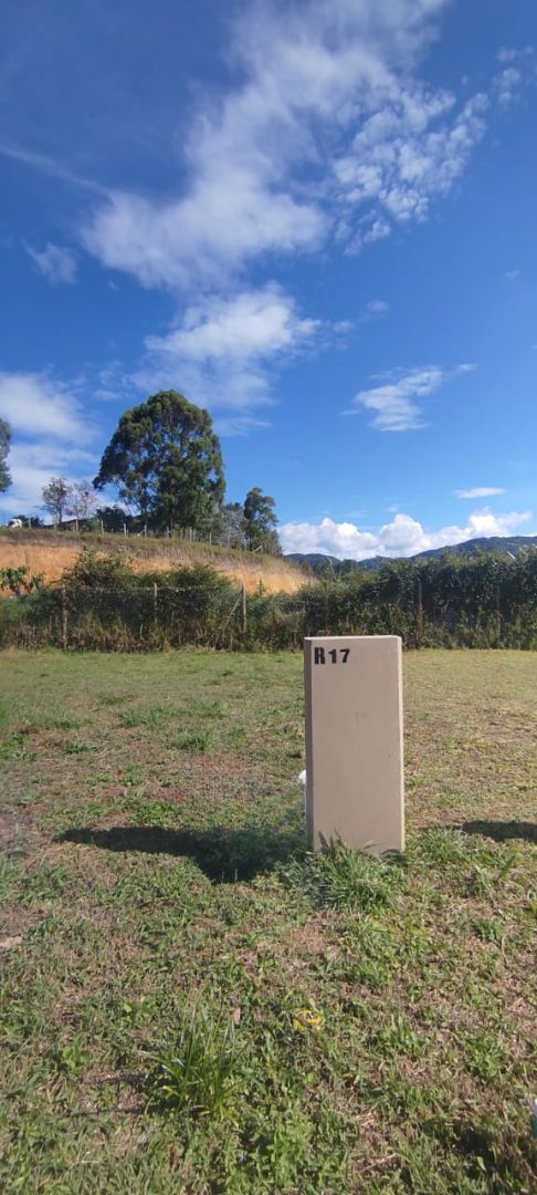 Lote en venta Antioquia La Ceja Centro 92 m2 Habitaciones 0 Baños 0 Garajes 0 Precio $250000000