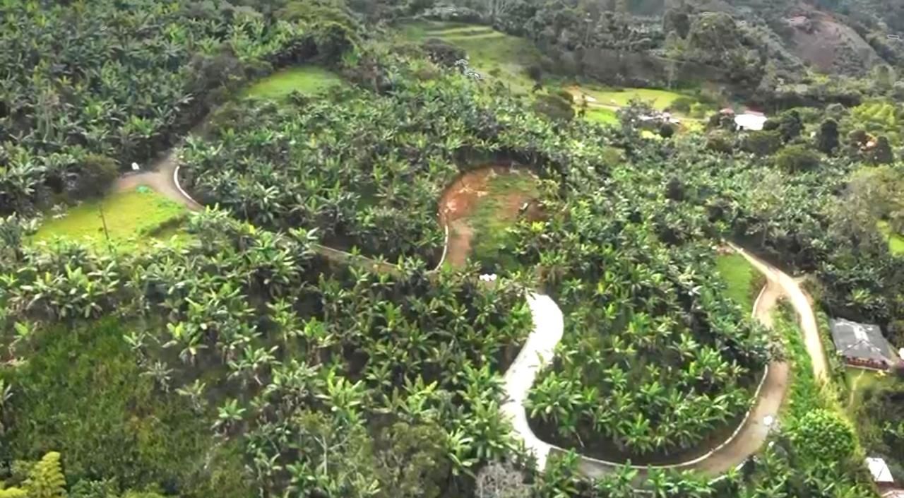 Lote en venta Antioquia Jardín Jardín 3698 m2 Habitaciones 0 Baños 0 Garajes 0 Precio $365000000