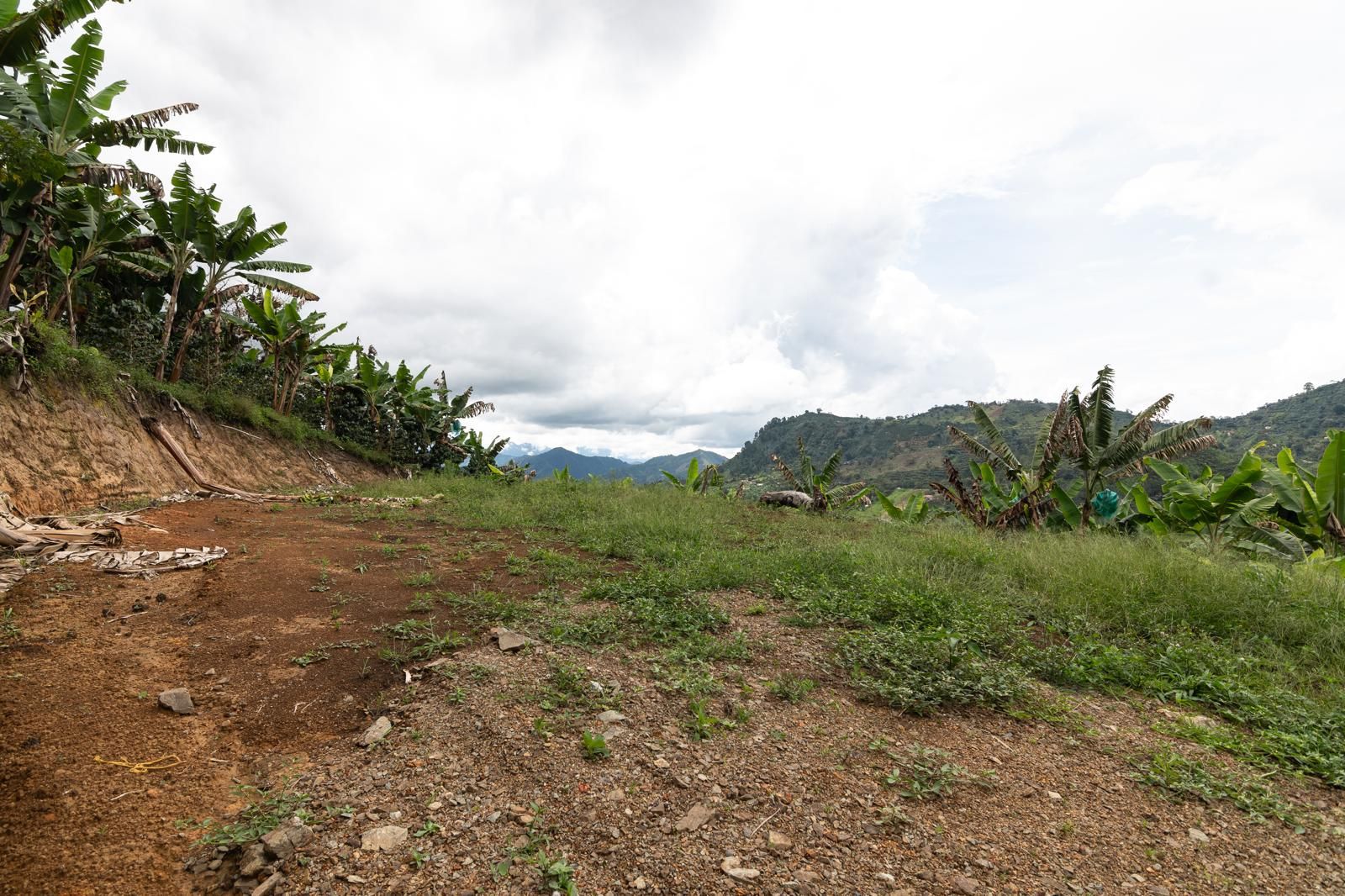 Lote en venta Antioquia Jardín Jardín 3239 m2 Habitaciones 0 Baños 0 Garajes 0 Precio $334000000