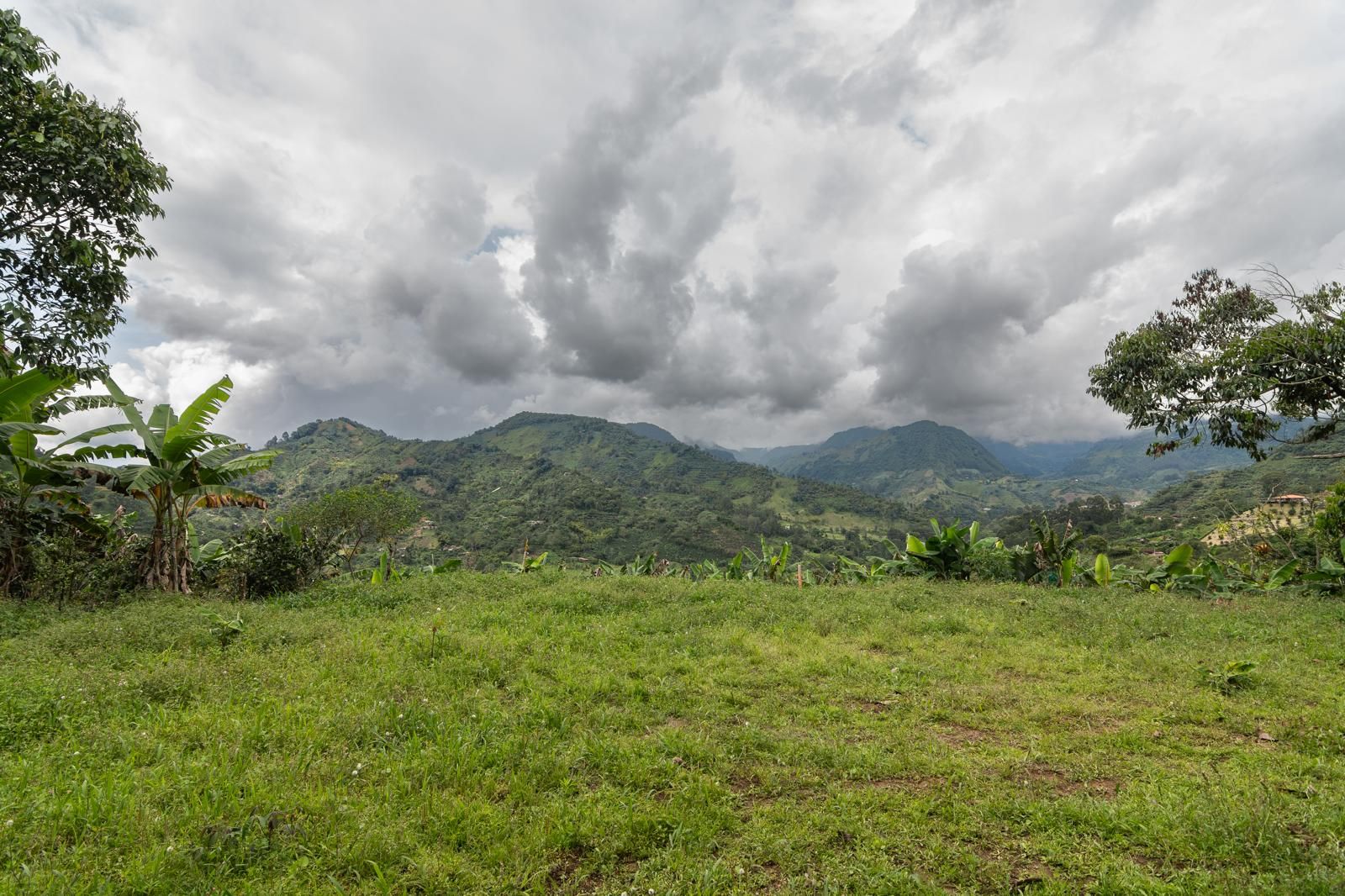 Lote en venta Antioquia Jardín Jardín 4123 m2 Habitaciones 0 Baños 0 Garajes 0 Precio $435000000