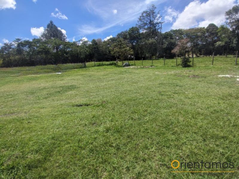 Lote en arriendo Antioquia El Carmen De Viboral Vereda Guamito 500 m2 Habitaciones 0 Baños 0 Garajes 0 Precio $4000000