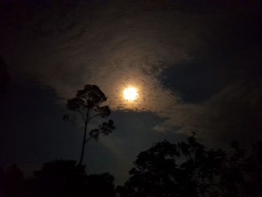 Finca en venta Cundinamarca Arbeláez Arbeláez 22834 m2 Habitaciones 2 Baños 1 Garajes 0 Precio $175000000