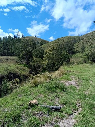 Lote en venta Cundinamarca Bojacá Bojaca 100000 m2 Habitaciones 0 Baños 0 Garajes 0 Precio $8000000000