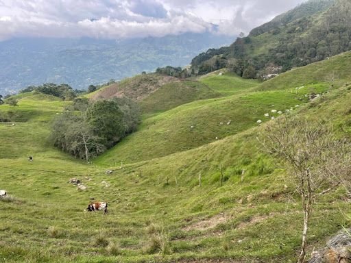 Finca en venta Cundinamarca La Vega La Vega 2560000 m2 Habitaciones 0 Baños 1 Garajes 0 Precio $3120000000