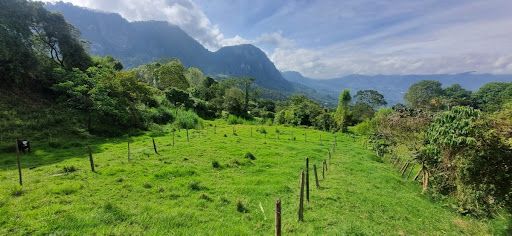 Lote en venta Cundinamarca Tena Tena 9223 m2 Habitaciones 0 Baños 1 Garajes 1 Precio $500000000