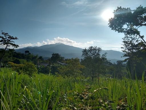 Lote en venta Cundinamarca Nocaima Nocaima 10000 m2 Habitaciones 0 Baños 0 Garajes 0 Precio $400000000