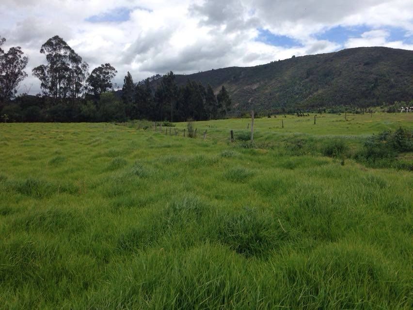 Lote en venta Cundinamarca Tocancipá Tocancipá 17950 m2 Habitaciones 0 Baños 0 Garajes 0 Precio $1200000000