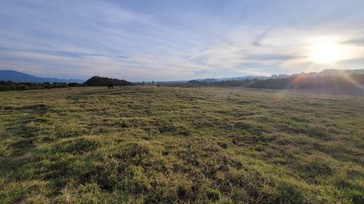 Lote en venta Cundinamarca Subachoque Subachoque 20000 m2 Habitaciones 0 Baños 0 Garajes 0 Precio $1150000000