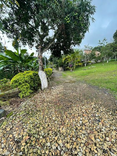 Finca en venta Cundinamarca La Mesa La Mesa 6000 m2 Habitaciones 3 Baños 2 Garajes 0 Precio $499000000