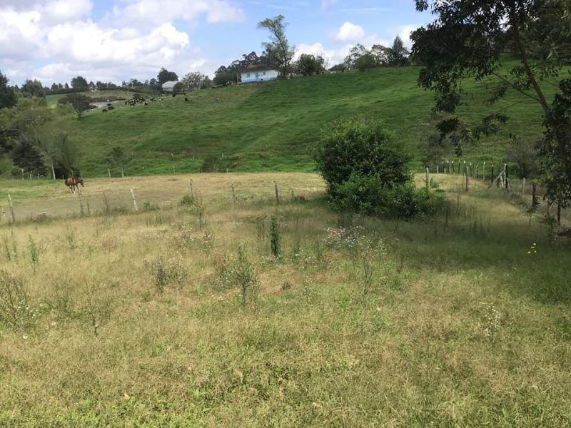 Lote en venta Antioquia El Carmen De Viboral El Carmen De Viboral 3334 m2 Habitaciones 0 Baños 0 Garajes 0 Precio $700000000