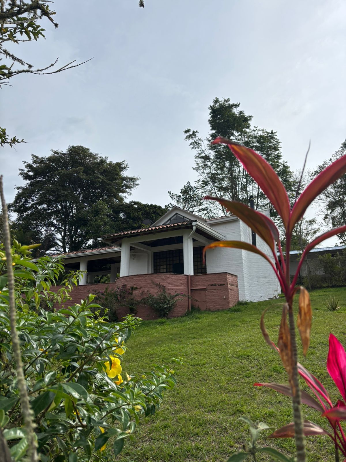 Finca en venta Valle Del Cauca Dagua Dagua 1400 m2 Habitaciones 2 Baños 1 Garajes 0 Precio $440000000
