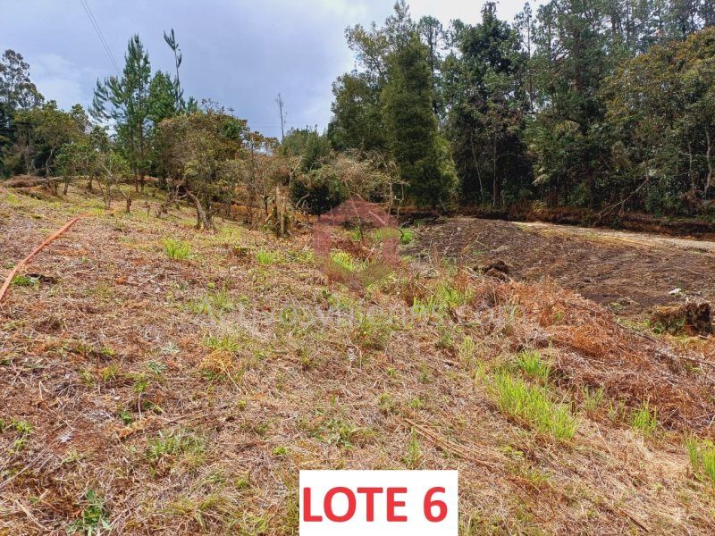 Lote en venta Antioquia Guarne Centro 1962 m2 Habitaciones 0 Baños 0 Garajes 0 Precio $285000000