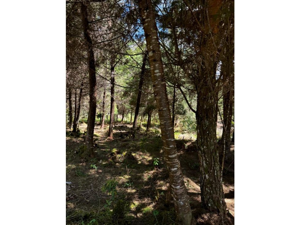 Lote en venta Antioquia Medellín La Candelaria 1000 m2 Habitaciones 0 Baños 0 Garajes 0 Precio $175000000