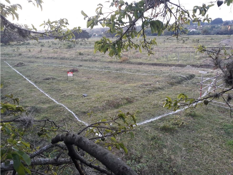 Lote en venta Valle Del Cauca Ginebra Ginebra 570 m2 Habitaciones 0 Baños 0 Garajes 0 Precio $190000000