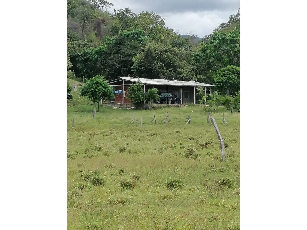 Finca en venta Tolima Natagaima Natagaima 168 m2 Habitaciones 3 Baños 1 Garajes 2 Precio $900000000